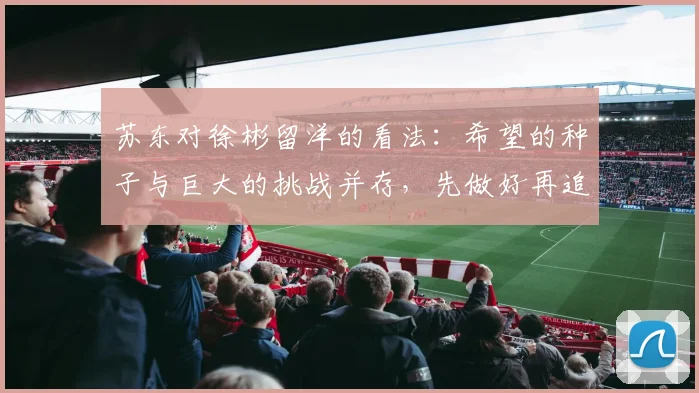 苏东对徐彬留洋的看法：希望的种子与巨大的挑战并存，先做好再追求完美