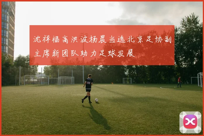沈祥福高洪波杨晨当选北京足协副主席新团队助力足球发展