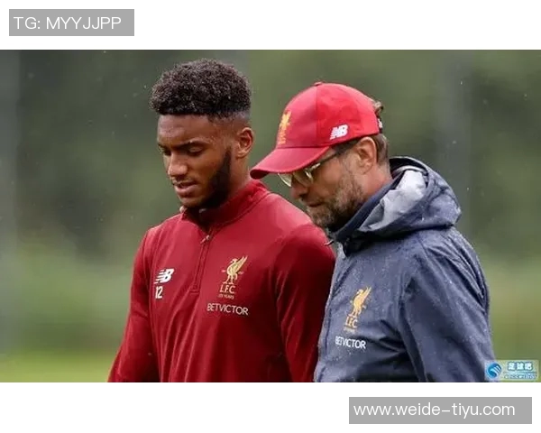 弗拉霍维奇遭遇左腿肌肉拉伤或将缺席今年剩余所有比赛