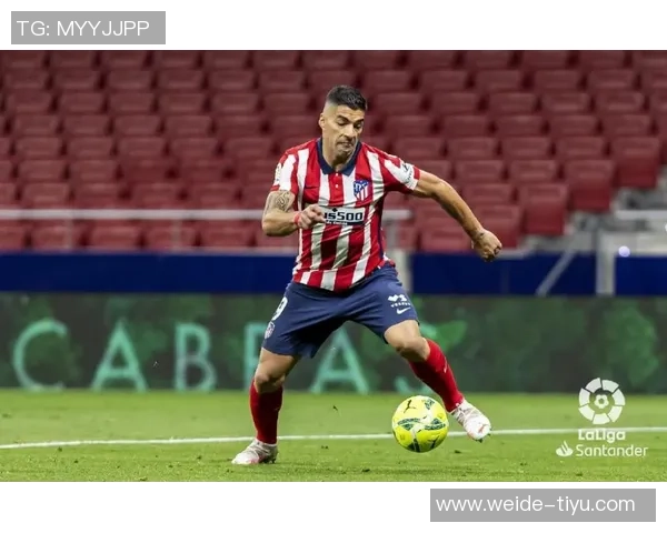 文斯卡特宣布2026年扣篮大赛参赛者名单华子莫兰特锡安等明星球员齐聚 文斯卡特宣布2026年扣篮大赛参赛者名单华子莫兰特锡安等明星球员齐聚